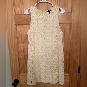 Aqua Cream Lace Overlay Dress with Yellow Lining